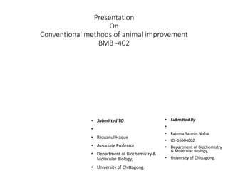 Presentation
On
Conventional methods of animal improvement
BMB -402
• Submitted TO
•
• Rezuanul Haque
• Associate Professor
• Department of Biochemistry &
Molecular Biology,
• University of Chittagong.
• Submitted By
•
• Fatema Yasmin Nisha
• ID -16604002
• Department of Biochemistry
& Molecular Biology,
• University of Chittagong.
 