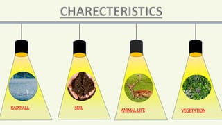 RAINFALL ANIMALLIFE
SOIL
VEGETATION
 