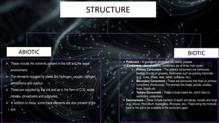 STRUCTURE
ABIOTIC BIOTIC
 These include the nutrients present in the soil and the aerial
environment.
 The elements required by plants are hydrogen, oxygen, nitrogen,
phosphorus and sulphur.
 These are supplied by the soil and air in the form of CO2, water,
nitrates, phosphates and sulphates.
 In addition to these, some trace elements are also present in the
soil.
 Producers – In grassland, producers are mainly grasses
 Consumers – In a grassland, consumers are of three main types:
 Primary Consumers – The primary consumers are herbivores
feeding directly on grasses. Herbivores such as grazing mammals
(e.g., cows, sheep, deer, rabbit, buffaloes, etc),
 Secondary Consumers – These are carnivores that feed on primary
consumers (Herbivores). The animals like foxes, jackals, snakes,
frogs, lizards,etc
 Tertiary Consumers – These include hawks etc. which feed on
secondary consumers.
 Decomposers – These include bacteria of death and decay, moulds and fungi
(e.g., Mucor, Penicillium, Aspergillus, Rhizopus, etc). These bring the minerals
back to the soil to be available to the producers again.
 