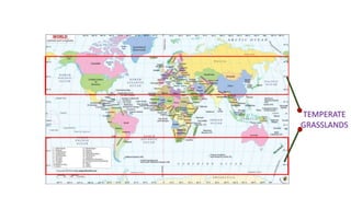 TEMPERATE
GRASSLANDS
 