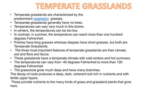 • Temperate grasslands are characterized by the
predominant vegetation grasses.
• Temperate grasslands generally have no trees.
• Temperatures can vary very much in this biome.
• In winters, the temperatures can be too low.
• In contrast, in summer, the temperature can reach more than one hundred
degrees Fahrenheit.
• Prairies have long grasses whereas steppes have short grasses, but both are
Temperate Grasslands.
• The three most important features of temperate grasslands are their climate,
soil and flora and fauna.
• These grasslands have a temperate climate with cold winters and hot summers.
• The temperatures can vary from -40 degrees Fahrenheit to more than 100
degrees Fahrenheit.
• The grassroots grow much deep and have many branches.
The decay of roots produces a deep, dark, coherent soil rich in nutrients and with
fertile upper layers.
These provide nutrients to the many kinds of grass and grassland plants that grow
here.
 