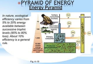 Energy Pyramids Unit 1661590696701_EVS UNIT 1PPT -updated.pptx