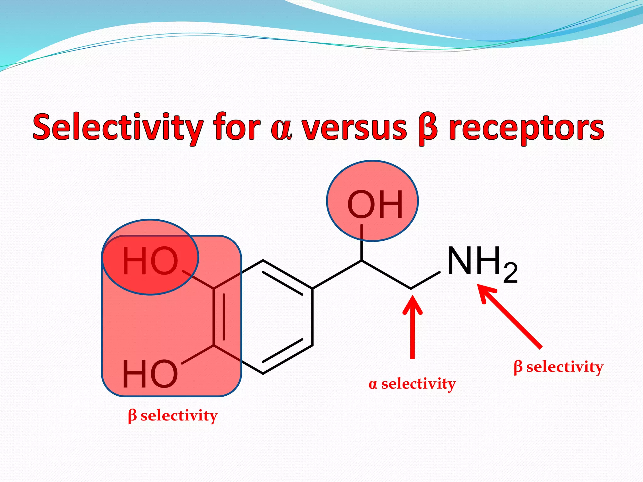 β selectivity
selectivity
β selectivity
 
