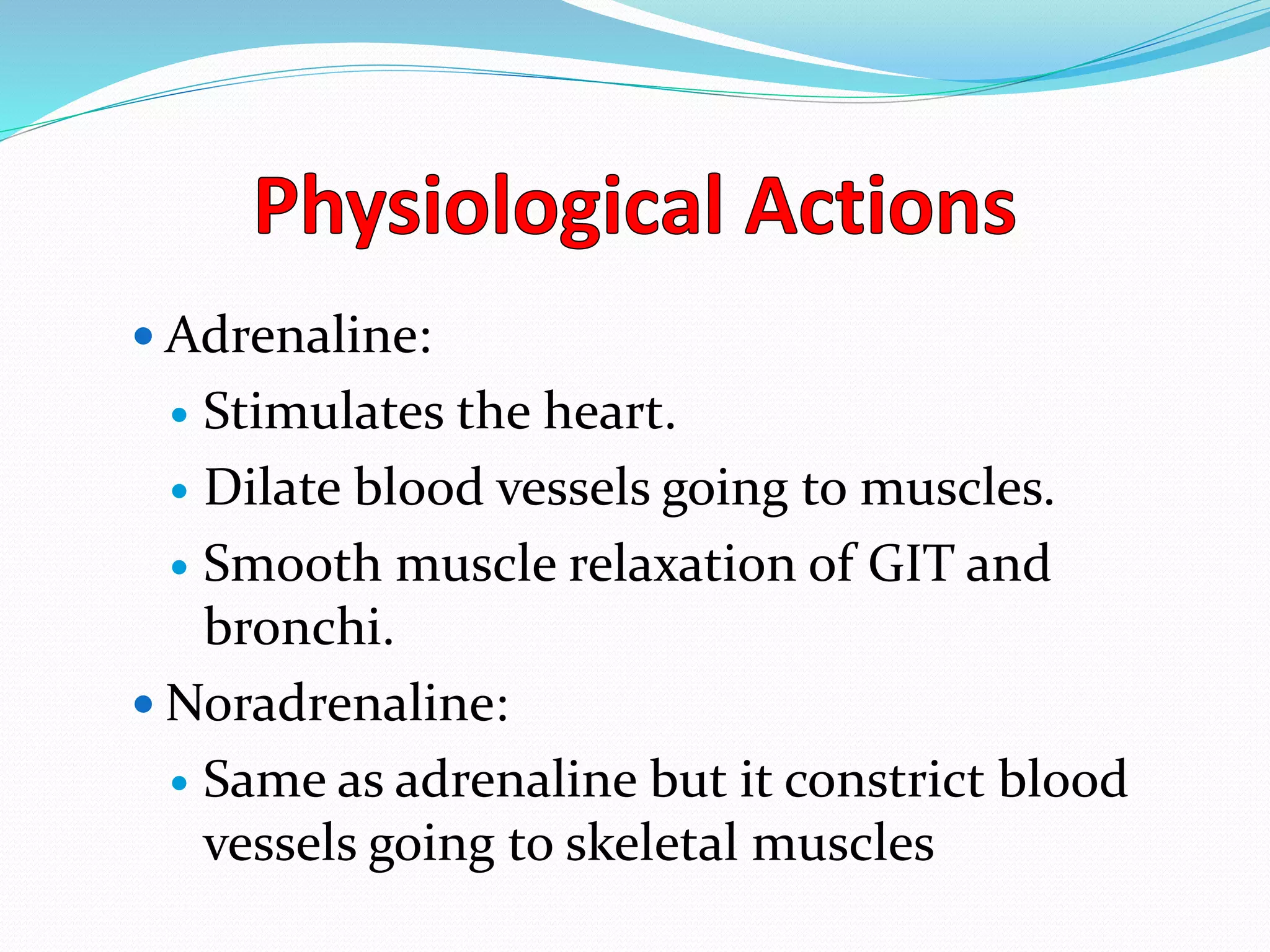 Adrenaline:
 Stimulates the heart.
 Dilate blood vessels going to muscles.
 Smooth muscle relaxation of GIT and
bronchi.
 Noradrenaline:
 Same as adrenaline but it constrict blood
vessels going to skeletal muscles
 