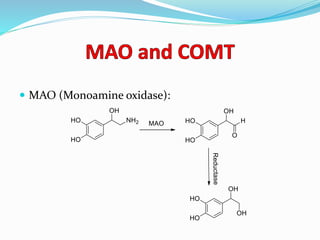  MAO (Monoamine oxidase):
 