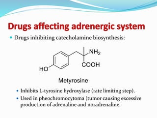  Drugs inhibiting catecholamine biosynthesis:
 Inhibits L-tyrosine hydroxylase (rate limiting step).
 Used in pheochromocytoma (tumor causing excessive
production of adrenaline and noradrenaline.
 