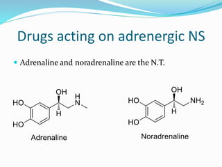 Drugs acting on adrenergic NS
 Adrenaline and noradrenaline are the N.T.
 