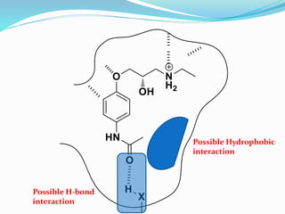 Possible Hydrophobic
interaction
Possible H-bond
interaction
 