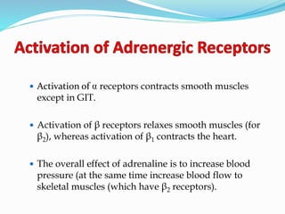  Activation of receptors contracts smooth muscles
except in GIT.
 Activation of β receptors relaxes smooth muscles (for
β2), whereas activation of β1 contracts the heart.
 The overall effect of adrenaline is to increase blood
pressure (at the same time increase blood flow to
skeletal muscles (which have β2 receptors).
 