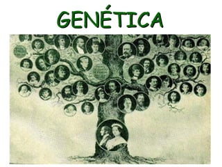 GENÉTICA
 