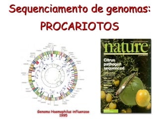 Sequenciamento de genomas:
PROCARIOTOS
Genoma Haemophilus influenzae
1995
 