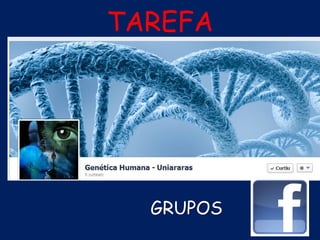 GRUPOS
TAREFA
 