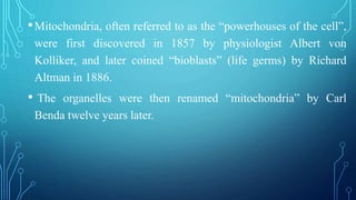 •Mitochondria, often referred to as the “powerhouses of the cell”,
were first discovered in 1857 by physiologist Albert vo...
