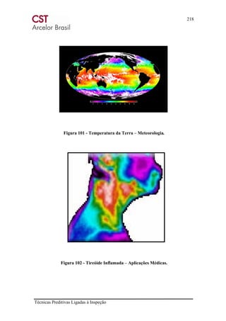 218
Técnicas Preditivas Ligadas à Inspeção
Figura 101 - Temperatura da Terra – Meteorologia.
Figura 102 - Tireóide Inflamada – Aplicações Médicas.
 