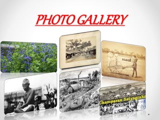 PHOTOGALLERY
 