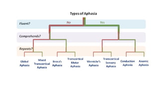 approach to speech disorder 1669739338277872.pptx