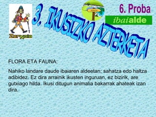 6. Proba 3. IKUSIZKO AZTERKETA FLORA ETA FAUNA: Nahiko landare daude ibaiaren aldeetan; sahatza edo haltza adibidez. Ez dira arrainik ikusten inguruan, ez bizirik, are gutxiago hilda. Ikusi ditugun animalia bakarrak ahateak izan dira.   