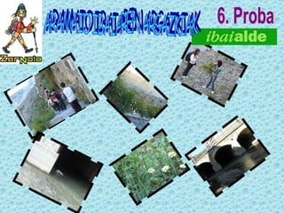 ARAMAIO IBAIAREN ARGAZKIAK 6. Proba 