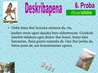 Deba ibaia ibai luzexka samarra da, eta, landare mota ugari dauzka bere aldemenean. Gizakiak hainbat aldaketa egin dizkio ibai honei, baina leku batzuetan, ibaia guztiz naturala da. Oso ibai polita da, baina pena da, ura kontaminatua egotea. Deskribapena Deba 6. Proba 