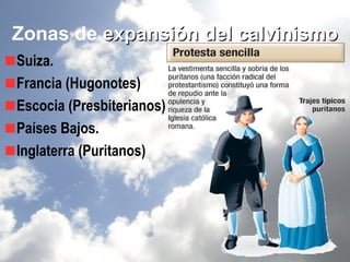 Zonas de expansión del calvinismo
Suiza.
Francia (Hugonotes)
Escocia (Presbiterianos)
Países Bajos.
Inglaterra (Puritanos)
 