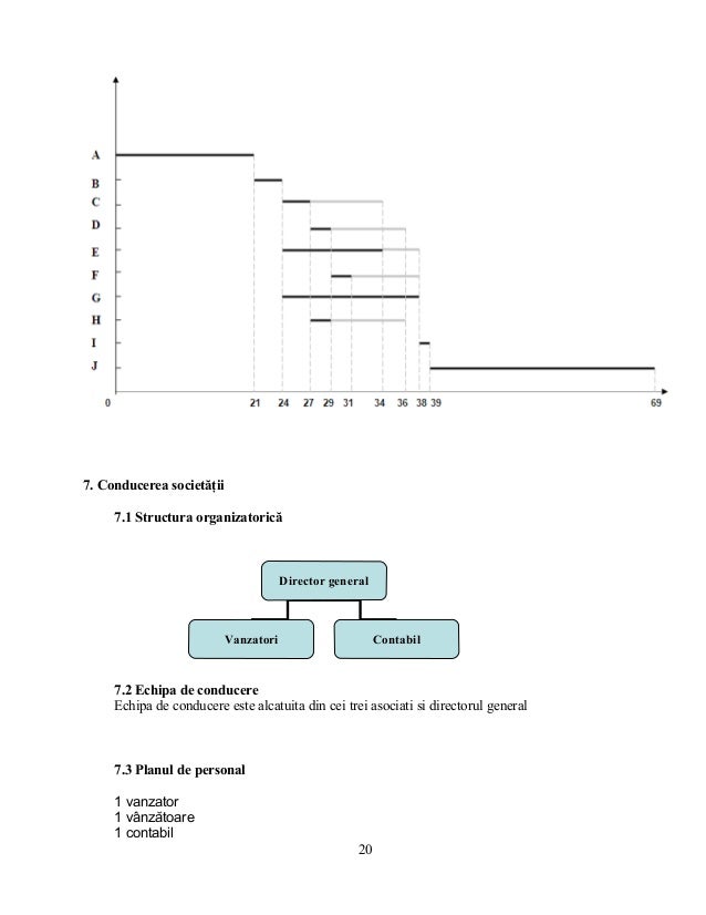 167271617 Plan De Afacere Florarie