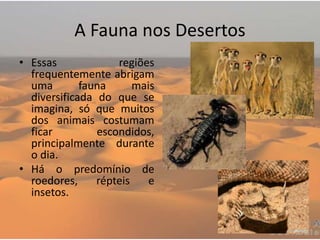 A Fauna nos Desertos
• Essas regiões
frequentemente abrigam
uma fauna mais
diversificada do que se
imagina, só que muitos
dos animais costumam
ficar escondidos,
principalmente durante
o dia.
• Há o predomínio de
roedores, répteis e
insetos.
 