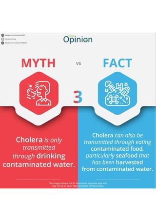 Cholera Myth vs  Fact