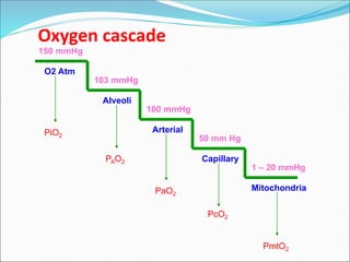 1679494331_MATERI+TERAPI+OKSIGEN+PDF.pdf