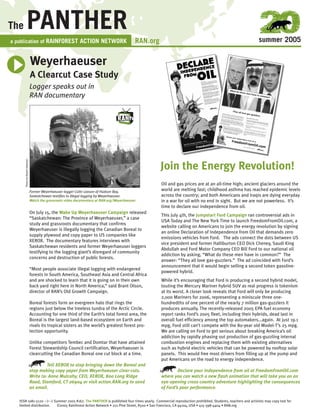 summer 2005
Logger speaks out in
RAN documentary
Oil and gas prices are at an all-time high; ancient glaciers around the
world are melting fast; childhood asthma has reached epidemic levels
across the country; and both Americans and Iraqis are dying everyday
in a war for oil with no end in sight. But we are not powerless. It’s
time to declare our independence from oil.
This July 4th, the Jumpstart Ford Campaign ran controversial ads in
USA Today and The New York Time to launch FreedomFromOil.com, a
website calling on Americans to join the energy revolution by signing
an online Declaration of Independence from Oil that demands zero
emissions vehicles from Ford. The ads connect the dots between US
vice president and former Halliburton CEO Dick Cheney, Saudi King
Abdullah and Ford Motor Company CEO Bill Ford to our national oil
addiction by asking, “What do these men have in common?” The
answer: “They all love gas-guzzlers.” The ad coincided with Ford’s
announcement that it would begin selling a second token gasoline-
powered hybrid.
While it’s encouraging that Ford is producing a second hybrid model,
touting the Mercury Mariner hybrid SUV as real progress is tokenism
at its worst. A closer look reveals that Ford will only be producing
2,000 Mariners for 2006, representing a miniscule three one-
hundredths of one percent of the nearly 7 million gas-guzzlers it
produces annually. The recently-released 2005 EPA fuel economy
report ranks Ford’s 2005 fleet, including their hybrids, dead last in
overall fuel efficiency among the top automakers...again. At just 19.1
mpg, Ford still can’t compete with the 80-year old Model-T’s 25 mpg.
We are calling on Ford to get serious about breaking America’s oil
addiction by rapidly phasing out production of gas-guzzling internal
combustion engines and replacing them with existing alternatives
such as hybrid electric vehicles that can be powered by rooftop solar
panels. This would free most drivers from filling up at the pump and
put Americans on the road to energy independence.
Declare your independence from oil at FreedomFromOil.com
where you can watch a new flash animation that will take you on an
eye-opening cross-country adventure highlighting the consequences
of Ford’s poor performance.
Former Weyerhaeuser logger Colin Leason of Hudson Bay,
Saskatchewan testifies to illegal logging by Weyerhaeuser.
Watch the grassroots video documentary at RAN.org/Weyerhaeuser
ISSN 1081-5120 >> Summer 2005 #167. The PANTHER is published four times yearly. Commercial reproduction prohibited. Students, teachers and activists may copy text for
limited distribution. ©2005 Rainforest Action Network • 221 Pine Street, #500 • San Francisco, CA 94104, USA • 415-398-4404 • RAN.org
RAN.org
Weyerhaeuser
A Clearcut Case Study
The PANTHER
a publication of RAINFOREST ACTION NETWORK
On July 15, the Wake Up Weyerhaeuser Campaign released
“Saskatchewan: The Province of Weyerhaeuser,” a case
study and grassroots documentary that confirms
Weyerhaeuser is illegally logging the Canadian Boreal to
supply plywood and copy paper to US companies like
XEROX. The documentary features interviews with
Saskatchewan residents and former Weyerhaeuser loggers
testifying to the logging giant’s disregard of community
concerns and destruction of public forests.
“Most people associate illegal logging with endangered
forests in South America, Southeast Asia and Central Africa
and are shocked to learn that it is going on in their own
back yard right here in North America,” said Brant Olson,
director of RAN’s Old Growth Campaign.
Boreal forests form an evergreen halo that rings the
regions just below the treeless tundra of the Arctic Circle.
Accounting for one third of the Earth’s total forest area, the
Boreal is the largest land-based ecosystem on Earth and
rivals its tropical sisters as the world’s greatest forest pro-
tection opportunity.
Unlike competitors Tembec and Domtar that have attained
Forest Stewardship Council certification, Weyerhaeuser is
clearcutting the Canadian Boreal one cut block at a time.
Tell XEROX to stop bringing down the Boreal and
stop making copy paper from Weyerhaeuser clear-cuts.
Write to: Anne Mulcahy, CEO, XEROX, 800 Long Ridge
Road, Stamford, CT 06904 or visit action.RAN.org to send
an email.
Join the Energy Revolution!
PhotobyRupertEastman
 