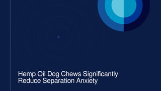 Hemp Oil Dog Chews Significantly
Reduce Separation Anxiety
 