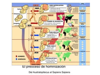 El preoceso de hominización
    Del Australopitecus al Sapiens Sapiens
 
