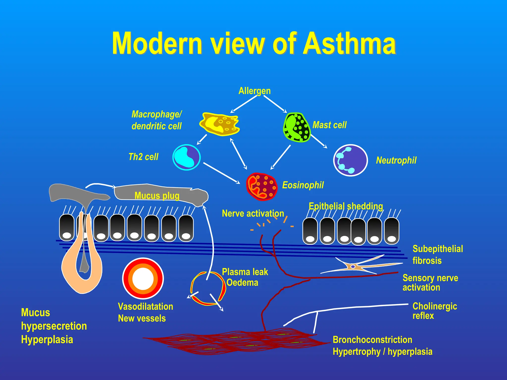 BRONCHIAL ASTHMA in children presentation & management | PPT