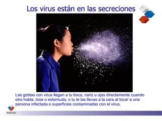 Los virus están en las secreciones




Las gotitas con virus llegan a tu boca, nariz u ojos directamente cuando
otro habla, tose o estornuda; o tu te las llevas a la cara al tocar a una
persona infectada o superficies contaminadas con el virus.
 