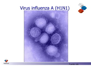 Virus influenza A (H1N1)




                       Fuente: cdc
 
