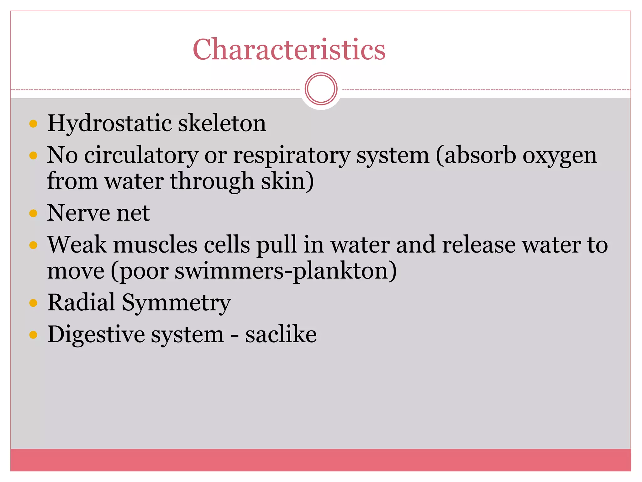 Cnidaria. ppt | PPT