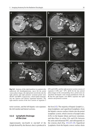 Rapv Rppv Radiotherapy Of Liver Cancer Jinsil Seong Ed | PDF