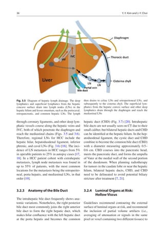 Lym Chain Radiotherapy Of Liver Cancer Jinsil Seong Ed | PDF