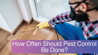 How Often Should Pest Control
Be Done?
 