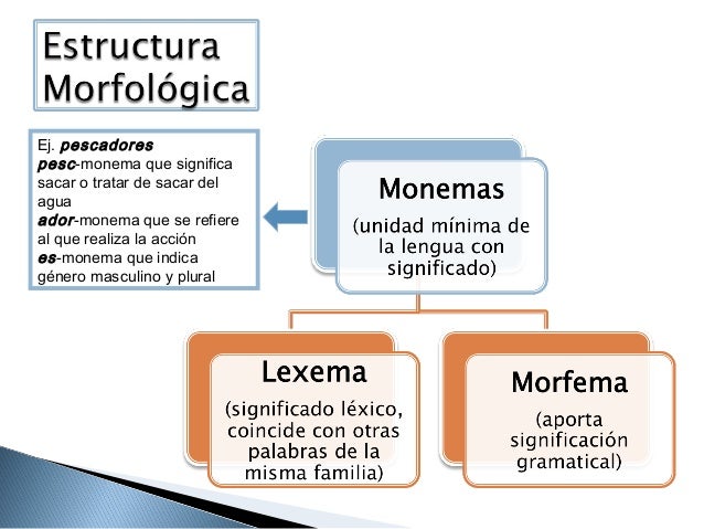 Resultado de imagen para estructura de las palabras