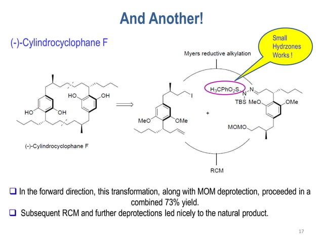 Hydrazine Chemistry in Organic Synthesis | PPT
