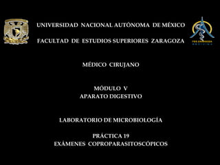 UNIVERSIDAD NACIONAL AUTÓNOMA DE MÉXICO

FACULTAD DE ESTUDIOS SUPERIORES ZARAGOZA



            MÉDICO CIRUJANO



               MÓDULO V
           APARATO DIGESTIVO



      LABORATORIO DE MICROBIOLOGÍA

              PRÁCTICA 19
    EXÁMENES COPROPARASITOSCÓPICOS
 
