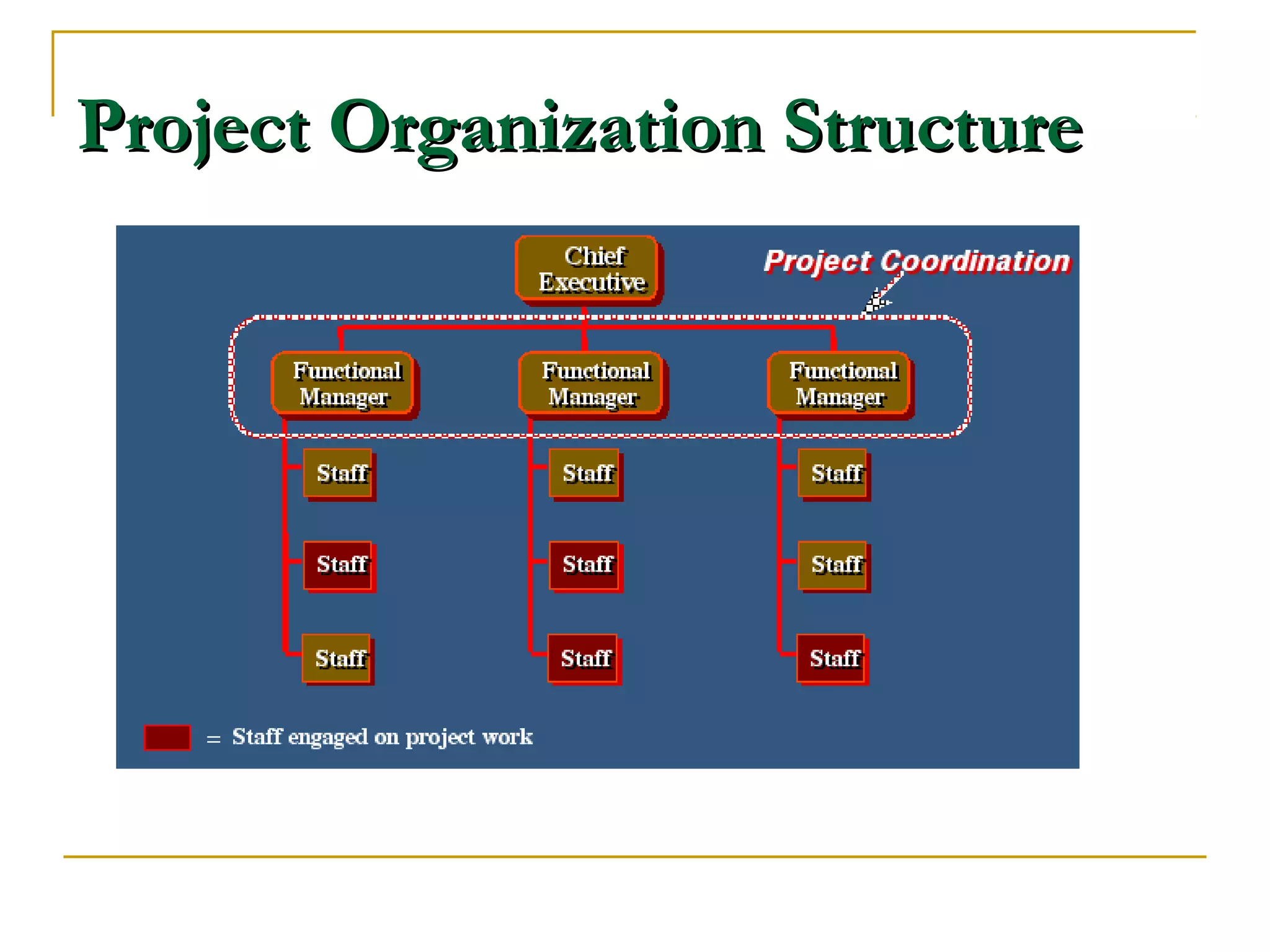 Project Organization StructureProject Organization Structure
 