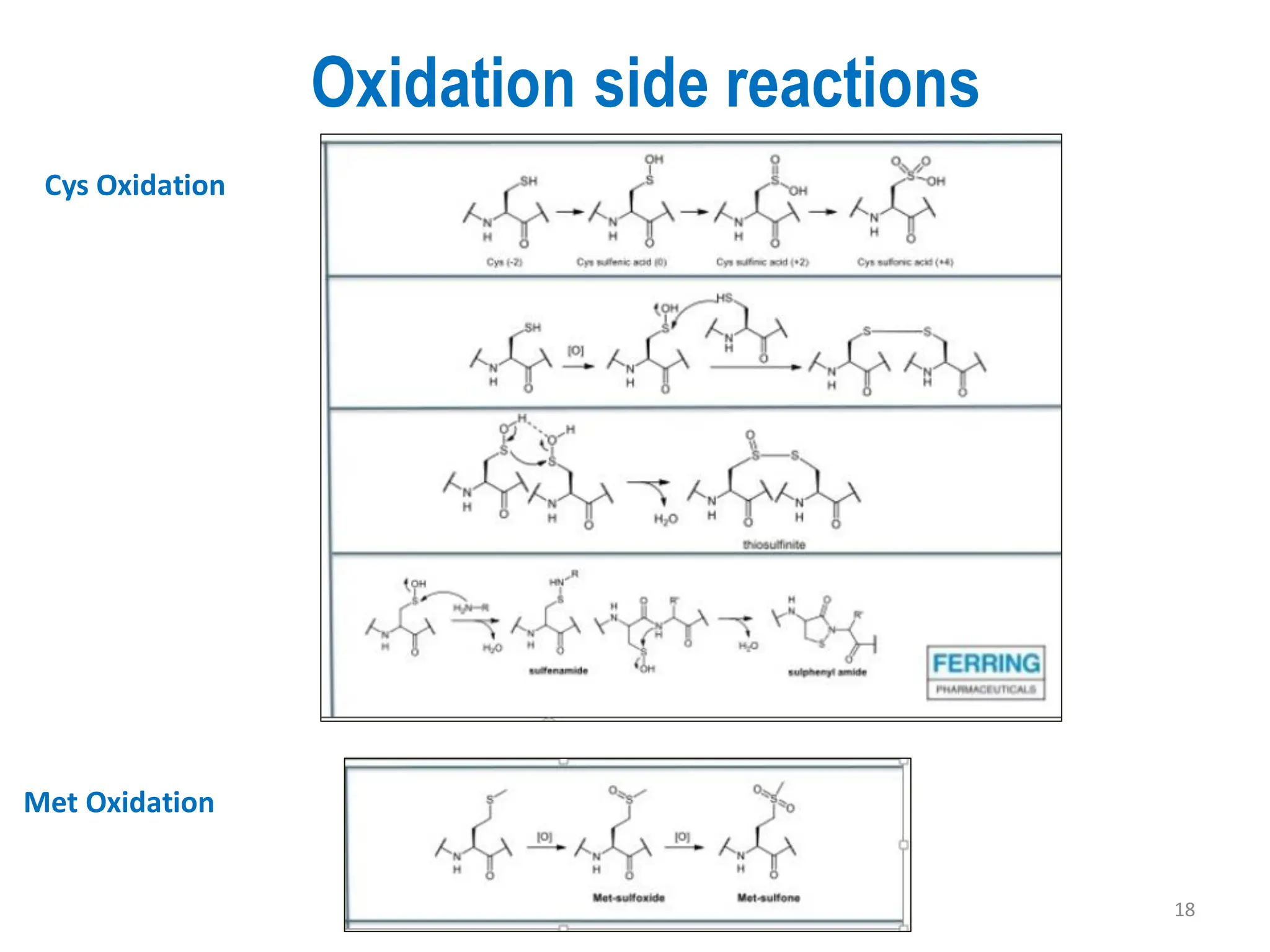 Oxidation side reactions
18
Cys Oxidation
Met Oxidation
 