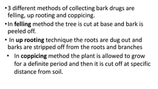 Coppice Method Roots herbal cultivation and its use in world trade | PDF