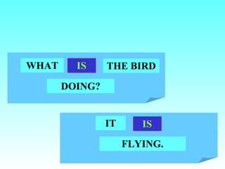 WHAT     IS     THE BIRD

       DOING?


                IT      IS
                     FLYING.
 