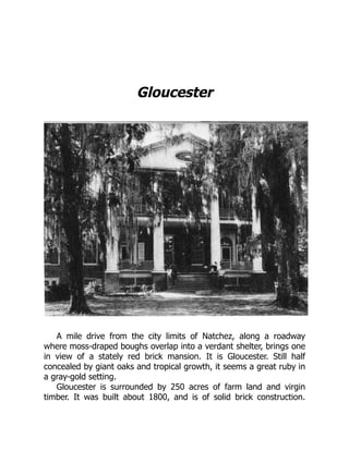 Gloucester
A mile drive from the city limits of Natchez, along a roadway
where moss-draped boughs overlap into a verdant shelter, brings one
in view of a stately red brick mansion. It is Gloucester. Still half
concealed by giant oaks and tropical growth, it seems a great ruby in
a gray-gold setting.
Gloucester is surrounded by 250 acres of farm land and virgin
timber. It was built about 1800, and is of solid brick construction.
 