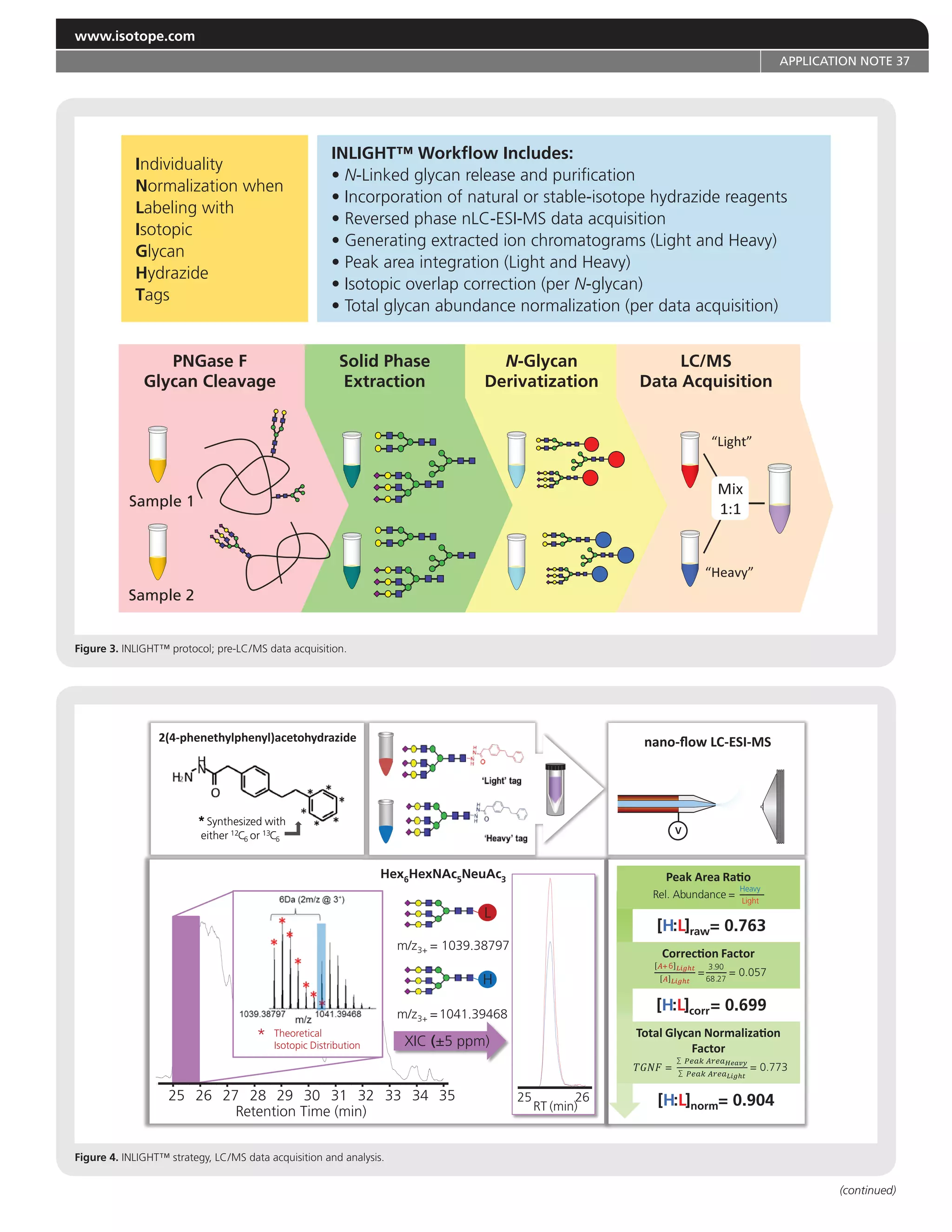 (continued)
www.isotope.com
APPLICATION NOTE 37
Individuality
Normalization when
Labeling with
Isotopic
Glycan
Hydrazide
Tags
INLIGHT™ Workflow Includes:
• N-Linked glycan release and purification
• Incorporation of natural or stable-isotope hydrazide reagents
• Reversed phase nLC-ESI-MS data acquisition
• Generating extracted ion chromatograms (Light and Heavy)
• Peak area integration (Light and Heavy)
• Isotopic overlap correction (per N-glycan)
• Total glycan abundance normalization (per data acquisition)
Sample 1
Sample 2
PNGase F
Glycan Cleavage
Solid Phase
Extraction
LC/MS
Data Acquisition
N-Glycan
Derivatization
Figure 3. INLIGHT™ protocol; pre-LC/MS data acquisition.
Figure 4. INLIGHT™ strategy, LC/MS data acquisition and analysis.
*Synthesized with
either 12C6 or 13C6
*Synthesized with
either 12C6CC or 13C6CC V
Hex6HexNAc5NeuAc3
m/z3+ = 1039.38797
XIC ((±5 ppm)
25 26
+6
=
3.90
68.27
= 0.057
[H:L]corr= 0.699
[H:L]norm= 0.904
=
∑
∑
= 0.773
[H:L]raw= 0.763
Rel. Abundance =
Heavy
Light
RT (min)
25 26 27 28 29 30 31 32 33 34 35
Retention Time (min)
* Theoretical
Isotopic Distribution
m/z3+ =1041.39468
L
H
 
