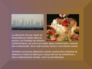 La alteración de ese medio es  fomentada por dietas altas en  azúcar o en hidratos de carbono  (carbohidratos), así como por beber agua contaminada y respirar aire contaminado, de lo cual muchas veces ni nos damos cuenta. También se provoca alteración cuando nuestra flora intestinal se deteriora y hasta se destruye a causa del uso de antibióticos u otros medicamentos fuertes, como la quimioterapia.  