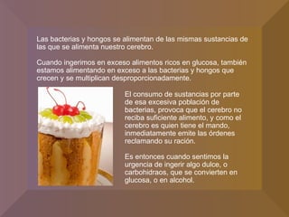 Las bacterias y hongos se alimentan de las mismas sustancias de las que se alimenta nuestro cerebro. Cuando ingerimos en exceso alimentos ricos en glucosa, también estamos alimentando en exceso a las bacterias y hongos que crecen y se multiplican desproporcionadamente. El consumo de sustancias por parte de esa excesiva población de bacterias, provoca que el cerebro no reciba suficiente alimento, y como el cerebro es quien tiene el mando, inmediatamente emite las órdenes reclamando su ración. Es entonces cuando sentimos la urgencia de ingerir algo dulce, o carbohidraos, que se convierten en glucosa, o en alcohol. 