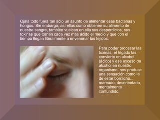 Ojalá todo fuera tan sólo un asunto de alimentar esas bacterias y hongos. Sin embargo, así ellas como obtienen su alimento de nuestra sangre, también vuelcan en ella sus desperdicios, sus toxinas que tornan cada vez más ácido el medio y que con el tiempo llegan literalmente a envenenar los tejidos.  Para poder procesar las toxinas, el hígado las convierte en alcohol (ácido) y ese exceso de alcohol en nuestro organismo, nos produce una sensación como la de estar borracho... mareado, desorientado, mentalmente confundido. 